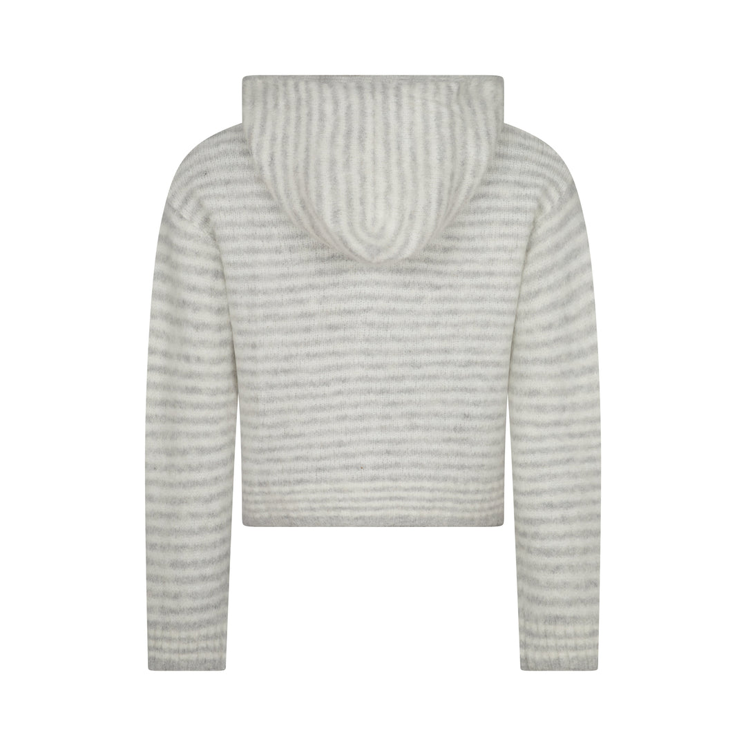 Hoodie met Dubbele Rits - Grijze Streep
