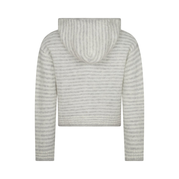 Hoodie met Dubbele Rits - Grijze Streep